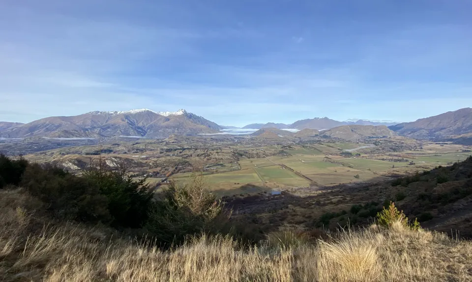 Bush Creek Banger and The Steiger!, Otago