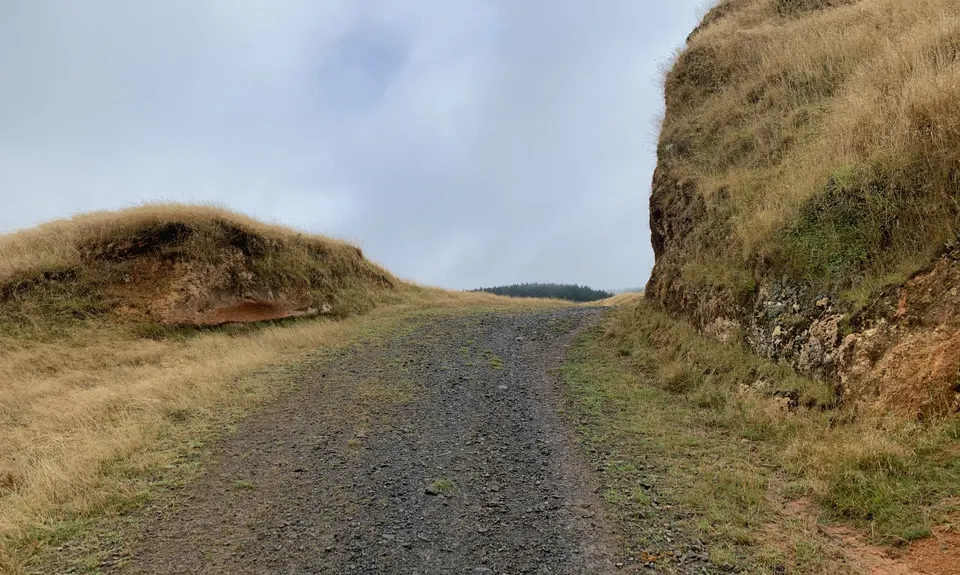 Pipiwharauroa Trail, Waikato