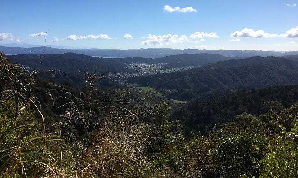 Where in the Whakanui?, Wellington