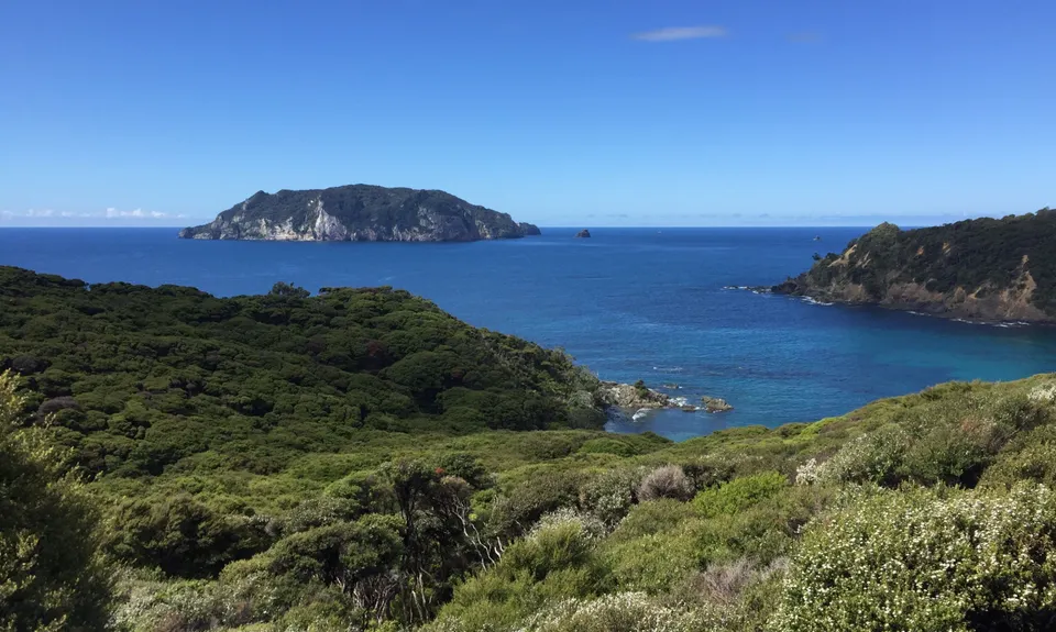 Harataonga Coastal Walkway, Auckland