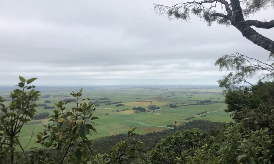 Forrest Hill Track, Southland
