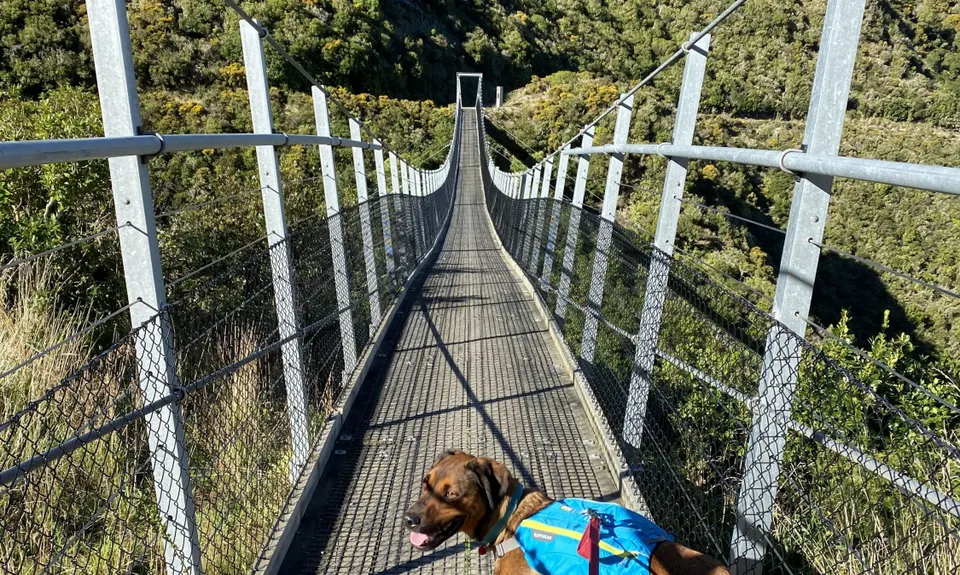 Rimutaka Incline, Wellington