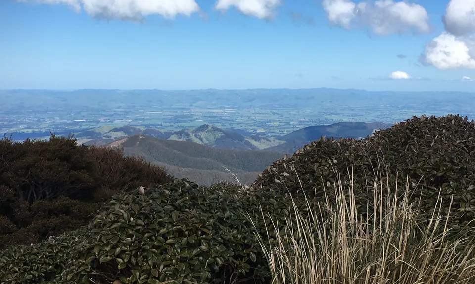 Pinnacle Ridge Plus, Wellington