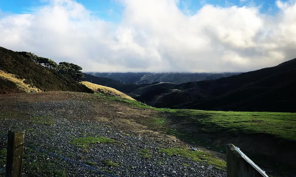 Graveyard Shift, Wellington