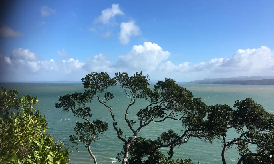 Waikowhai Stairs, Bush & Beach, Auckland