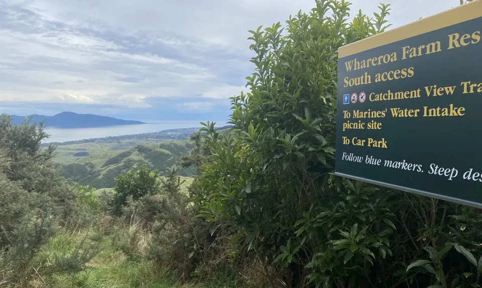 Whararoa Farm Steps, Wellington