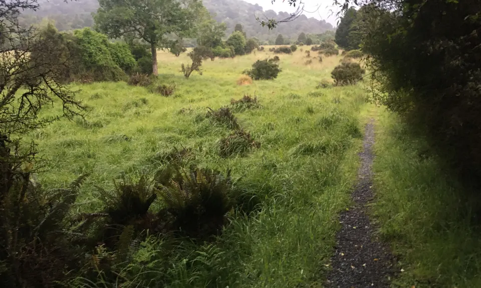 Dunsdale Domain Loop, Southland