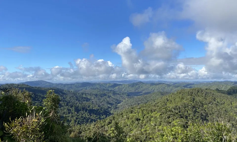 Ernie's loop, Auckland