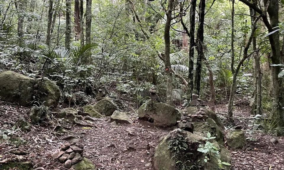 Te Aroha Summit Loop, Waikato