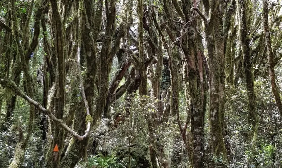 Mount Titiraupenga , Waikato