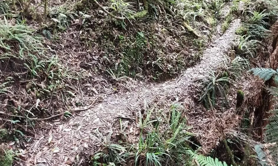 Mount Titiraupenga , Waikato