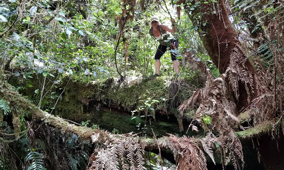 Mount Titiraupenga , Waikato