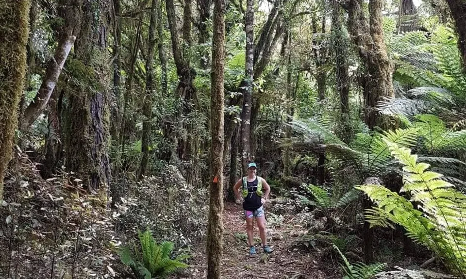 Mount Titiraupenga , Waikato