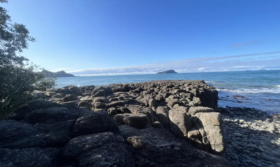 Pauanui Summit Loop, Waikato