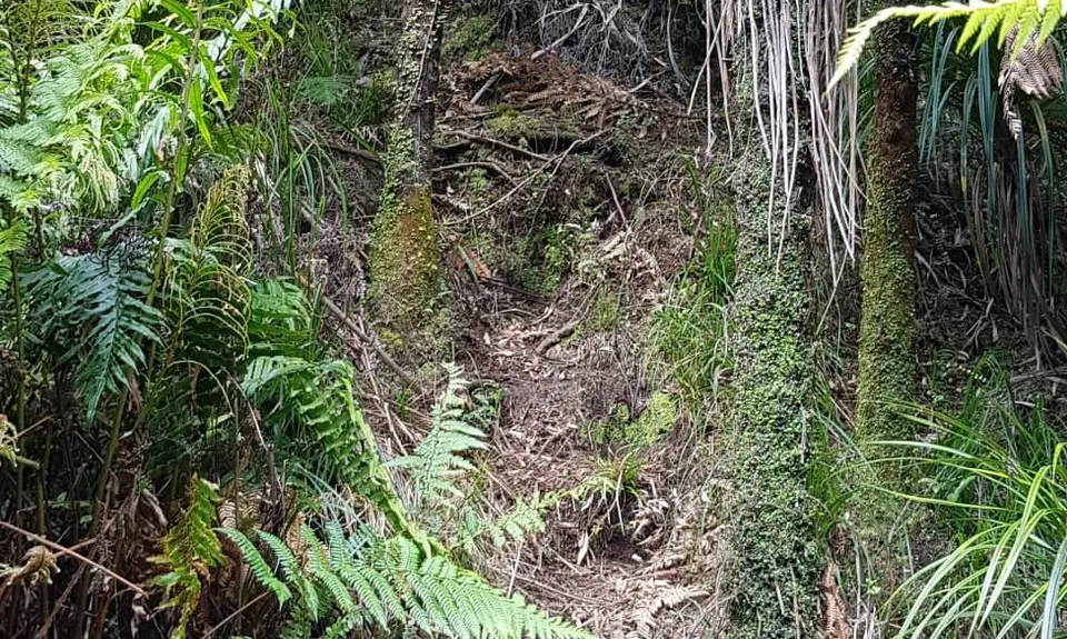 Te Whare Okioki & Mangamuka Huts Loop, Waikato