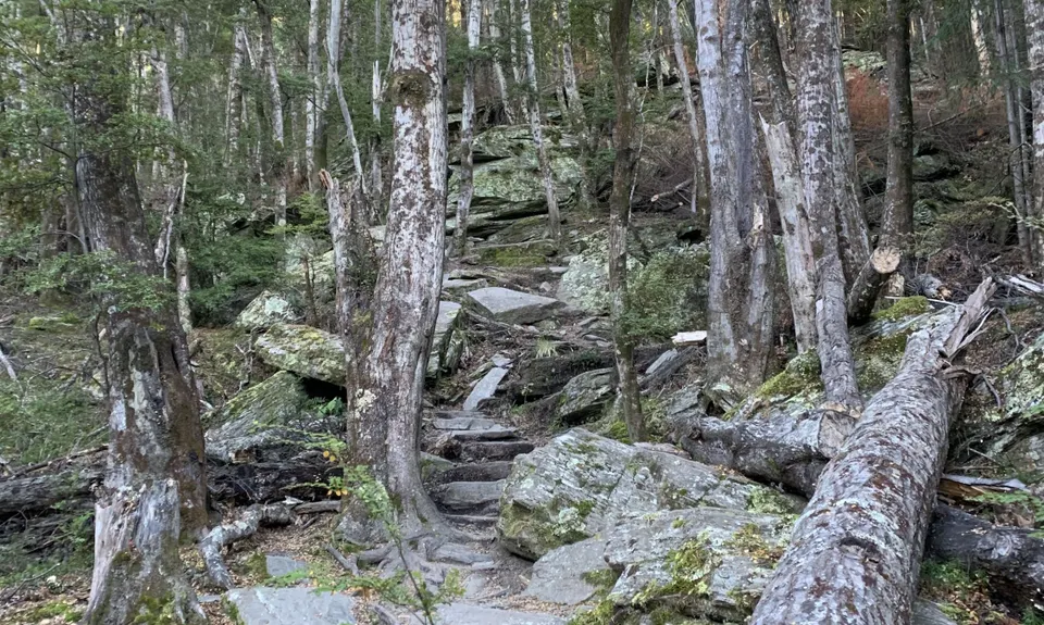 Ben Lomond via Tiki Trail, Otago