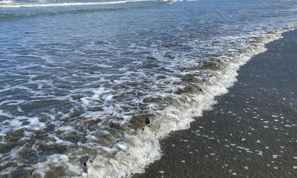 Surf's Up!!!, Canterbury
