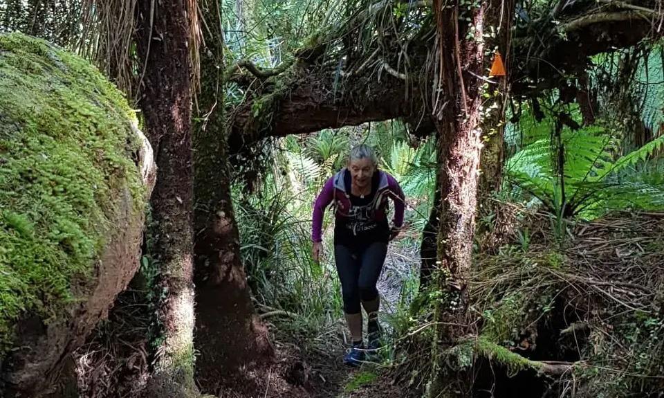 Te Whare Okioki & Mangamuka Huts Loop, Waikato