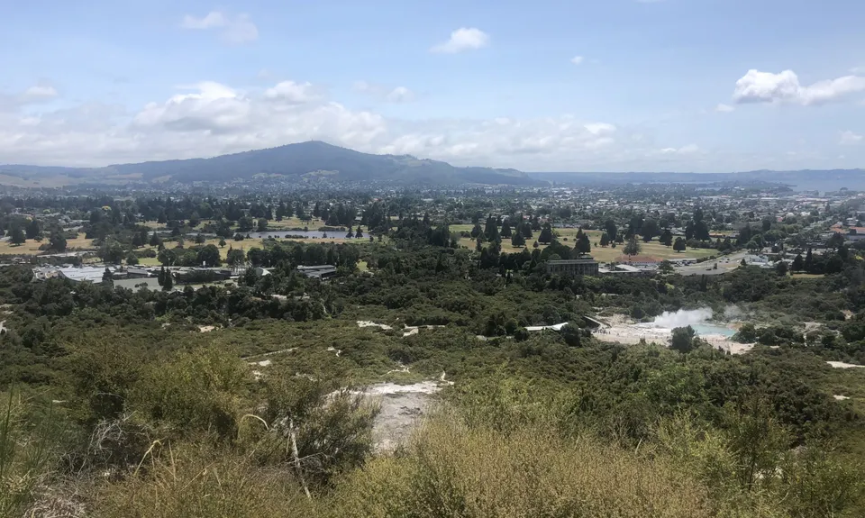 Yellow Plus Cardiac, Bay of Plenty