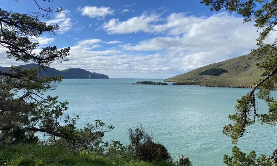 Coastal Cliff Candy, Canterbury