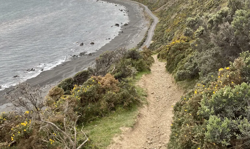 Lighthouses and Lakes, Wellington
