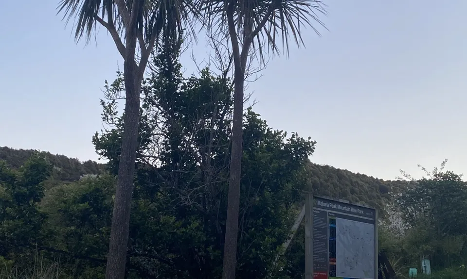 Mid Makara Magic, Wellington