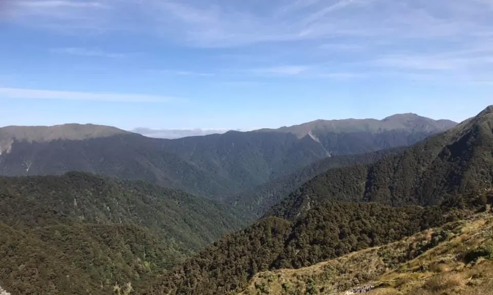 Jumbo - Holdsworth Circuit, Wellington