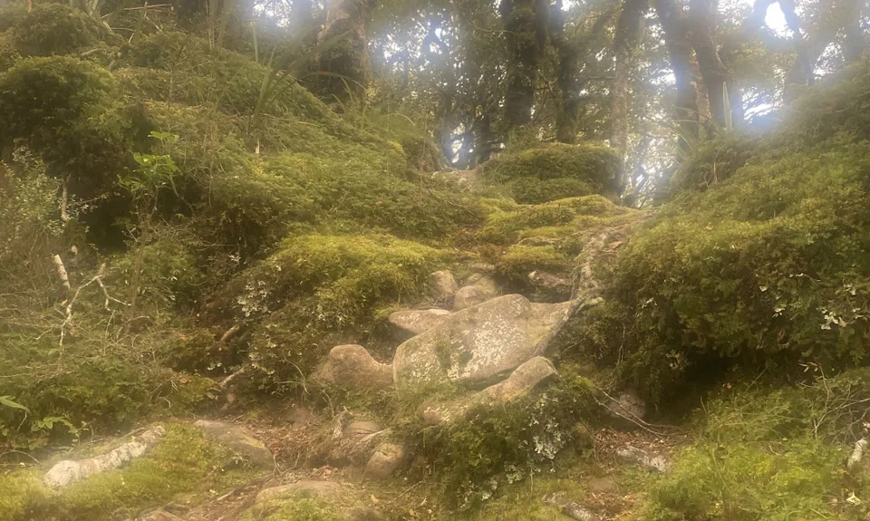 Blue Range Hut, Wellington