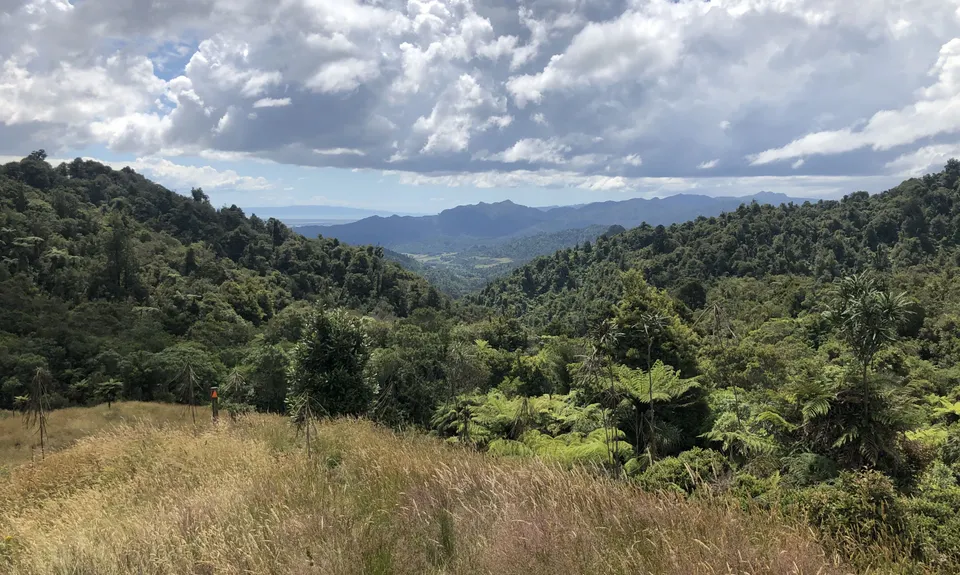 Maratoto To Golden Cross, Waikato