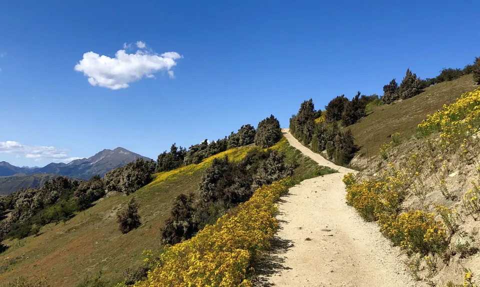 Mt Iron Loop , Otago