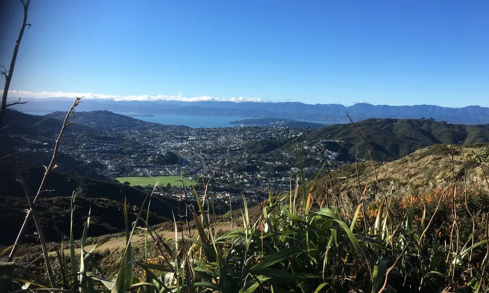 WUU2k - 42km Route, Wellington