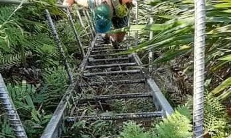Tuahu To Wairere , Waikato
