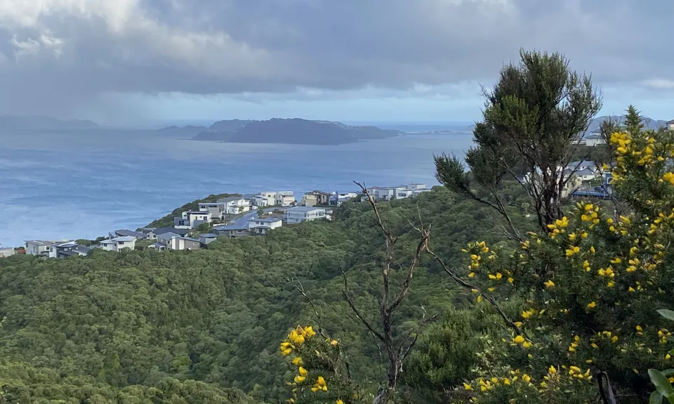 Te Ara Papararangi Views, Wellington