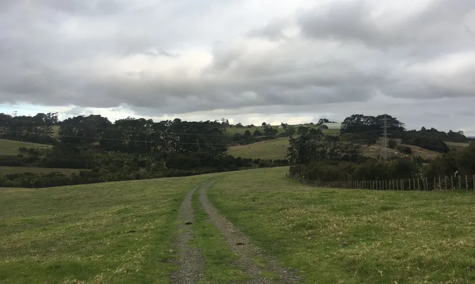 Totara Park Track, Auckland