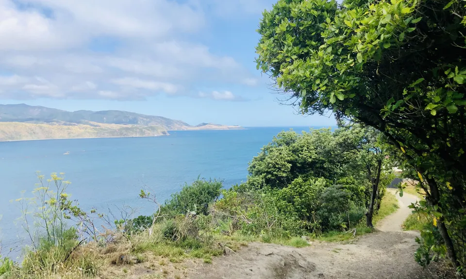 Ataturk to Pass Of Branda Loop, Wellington