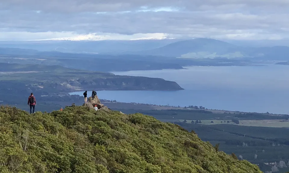 Tauhara Grunt, Waikato