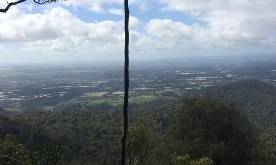 Otawa Trig, Bay of Plenty