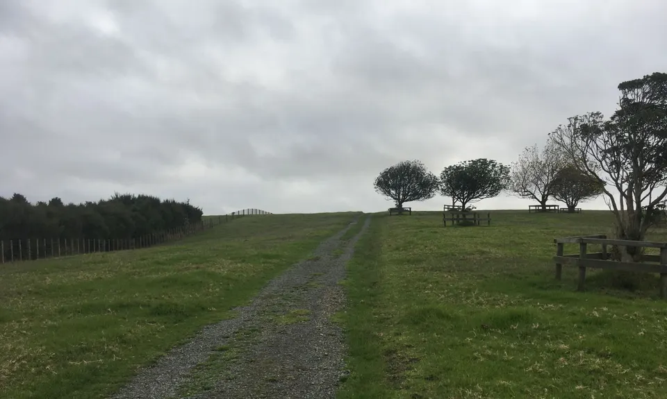 Totara Park Track, Auckland