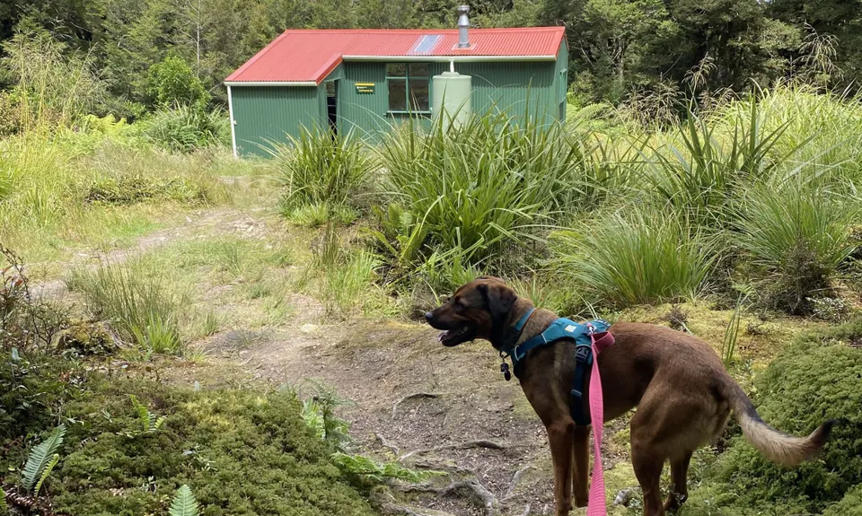 Kapakapanui Loop, Wellington