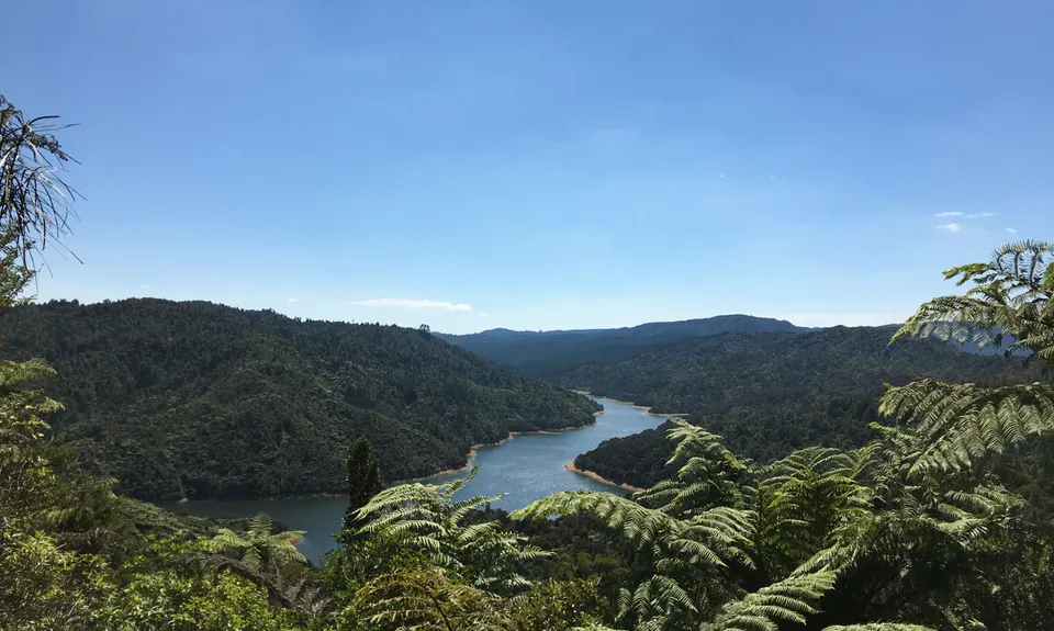 Wairoa Suspension Loop, Auckland