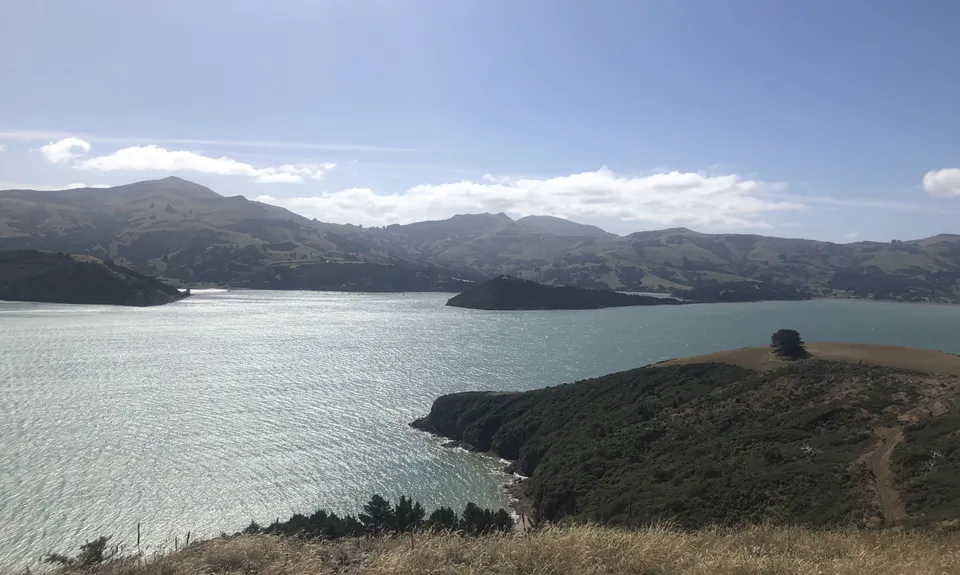 Moa Point Loop, Canterbury