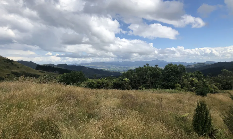 Maratoto To Golden Cross, Waikato