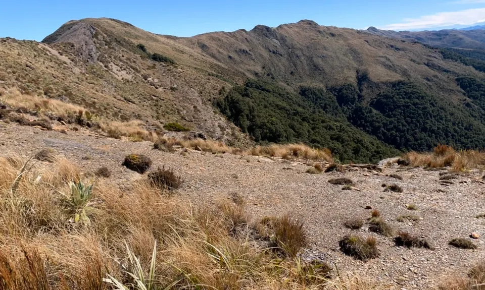 Mt Watson Croesus Loop, West Coast