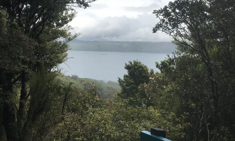 Mt Lowry, Wellington