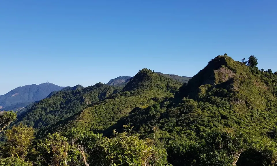 Tuahu To Wairere , Waikato