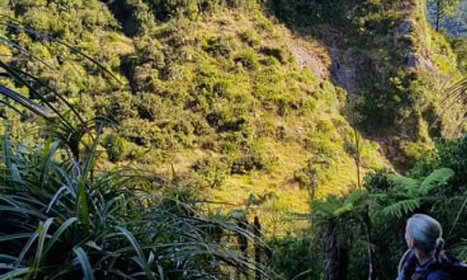 Tuahu To Wairere , Waikato
