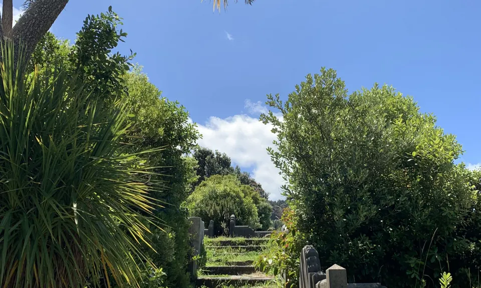 Graveyard Shift, Wellington