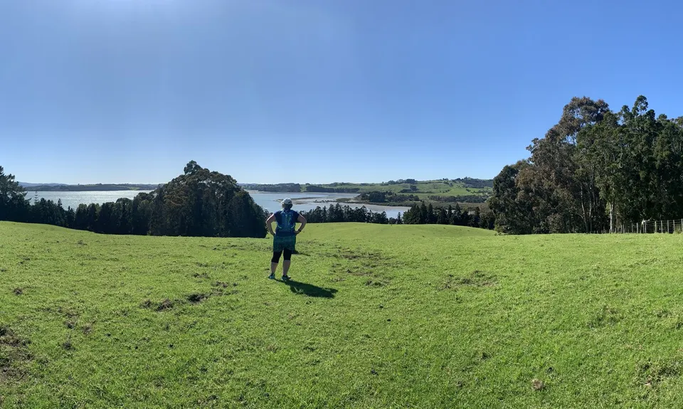 Atiu Creek Runabout., Auckland