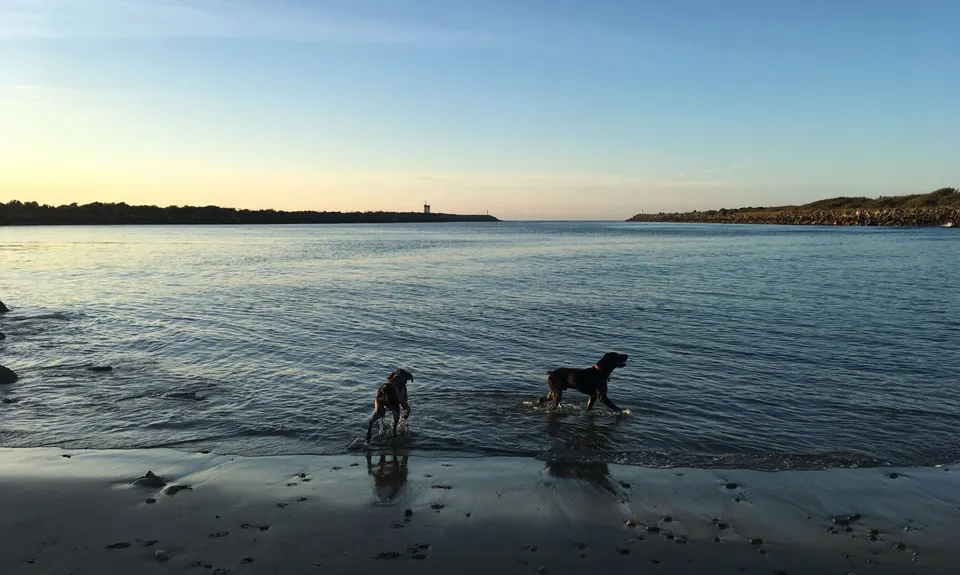 Kawatiri River Trails, West Coast
