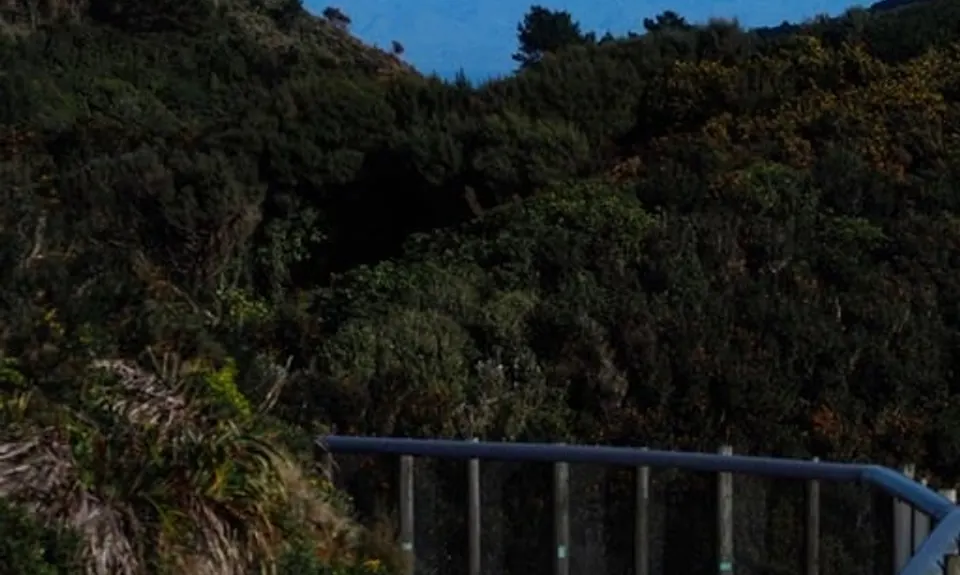 Sanctuary Fenceline, Wellington